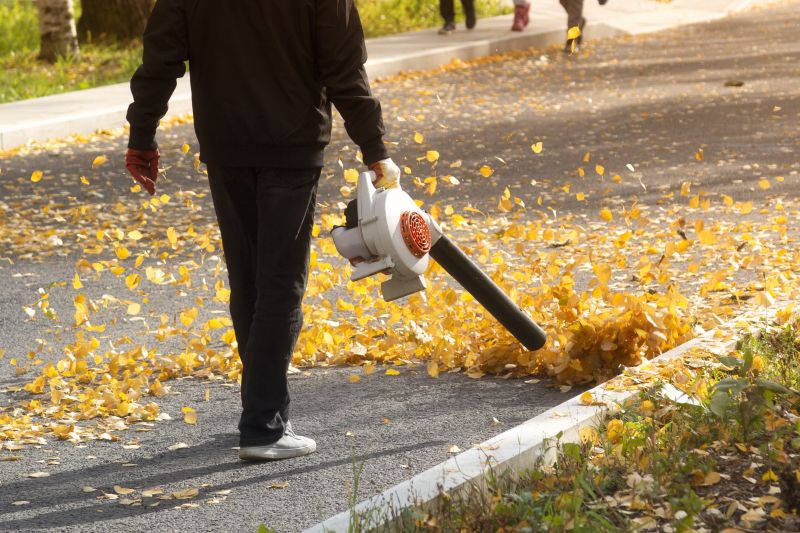 Blowing Leaves from Driveways