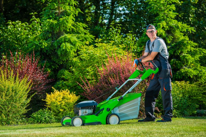 Residential Lawn Care detail