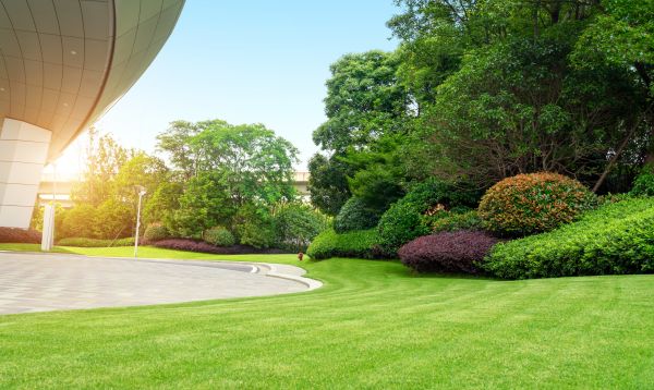 Commercial Lawn Mowing in Albany