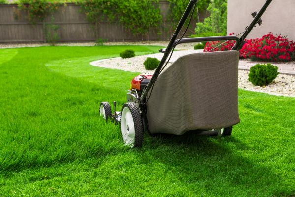 Home Yard Maintenance in Albany