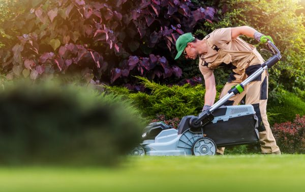 Lawn Care And Maintenance in Albany