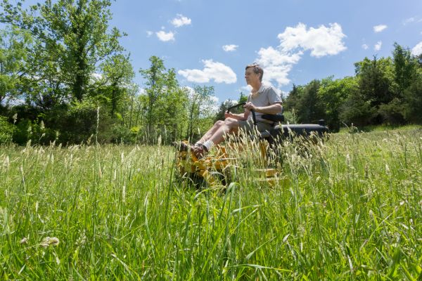 Tall Grass Mowing in Albany