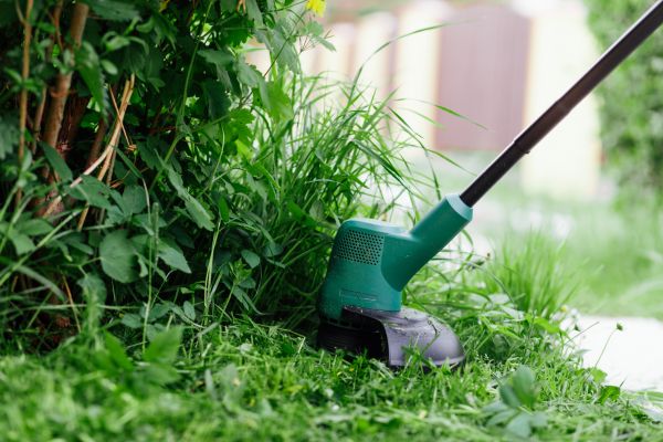 Weed Whacking in Albany