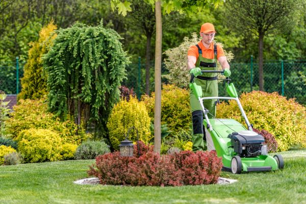 Weekly Lawn Maintenance in Albany