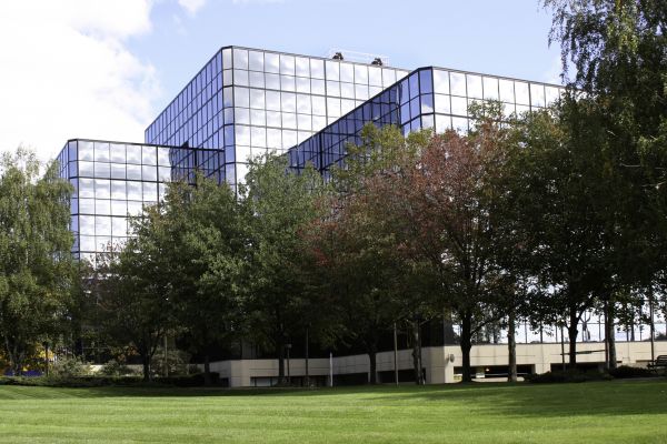 Commercial Lawn Service in Albany