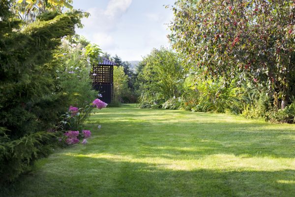 Cost of Yard Upkeep Service in Albany