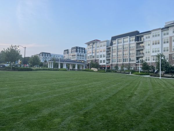 Cost of Urban Lawn Care in Albany