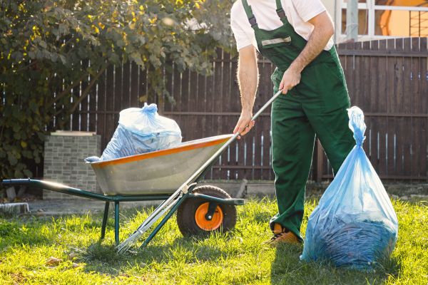 Yard Cleaning in Albany