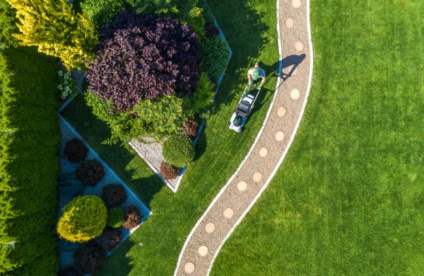 Cost of Mowing And Landscaping in Albany