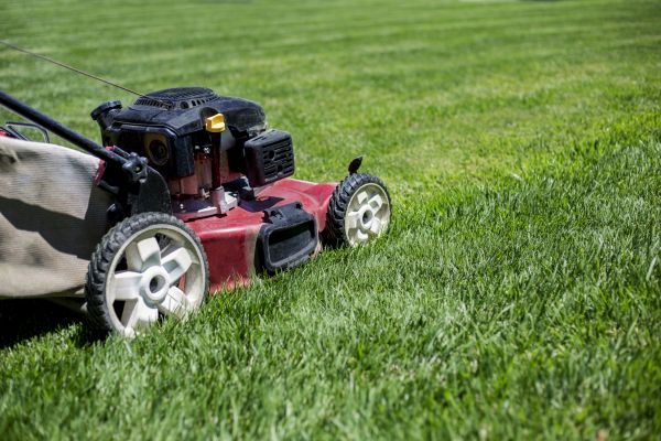 Cost of Routine Lawn Care in Albany