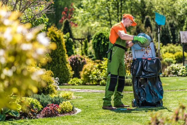Cost of Lawn Cleaning Service in Albany