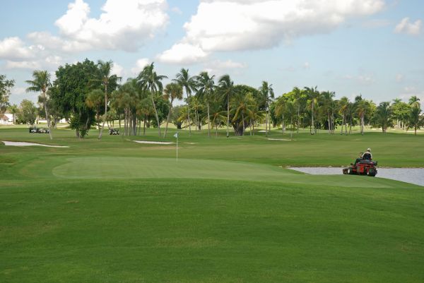 Golf Course Maintenance in Albany