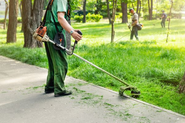 Grass Edging