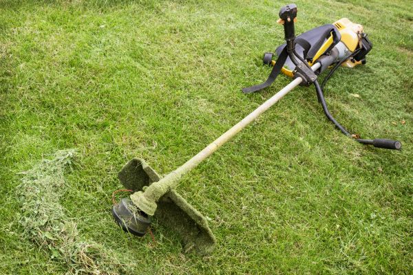 Hillside Weed Whacking in Albany