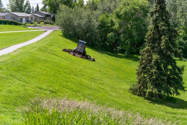 Hillside Mowing in Albany