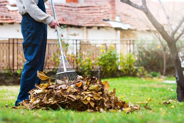 Routine Lawn Maintenance in Albany
