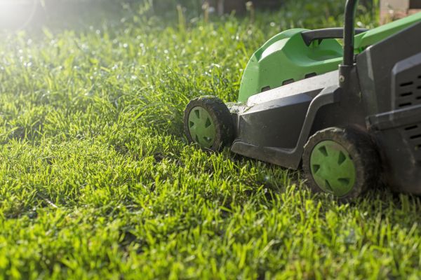 Cost of Yard Trimming in Albany