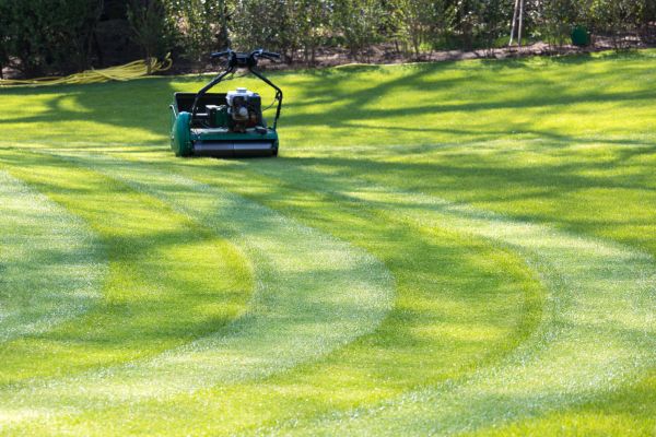Business Lawn Mowing in Albany