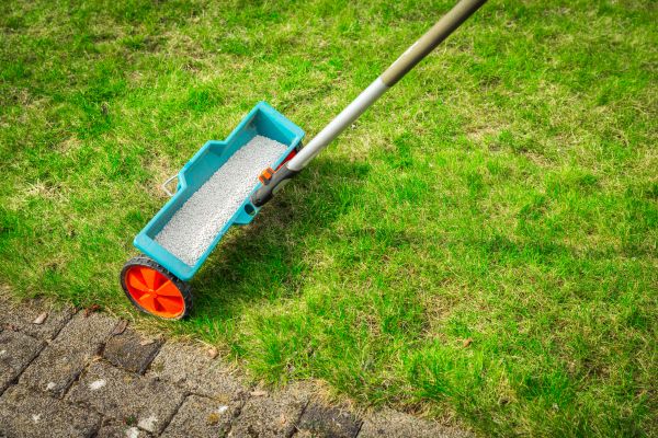 Commercial Lawn Treatment in Albany