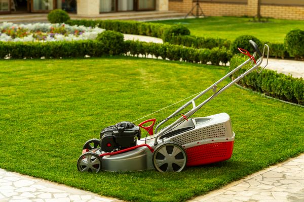 Business Grass Cutting in Albany