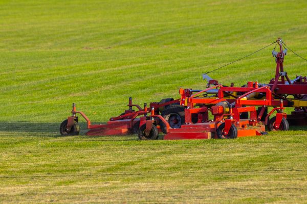 Industrial Lawn Service in Albany