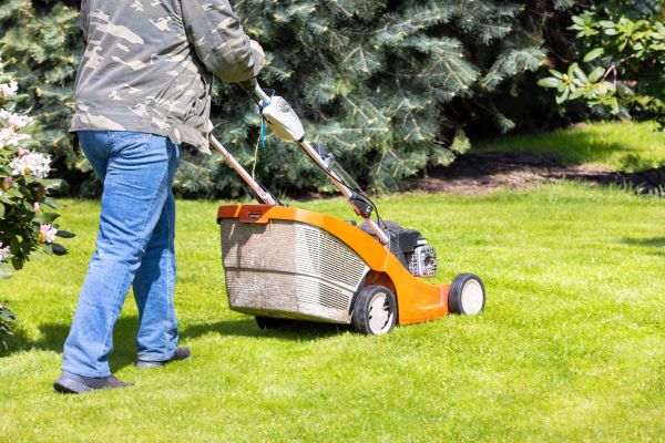 Springtime Lawn Care in Albany