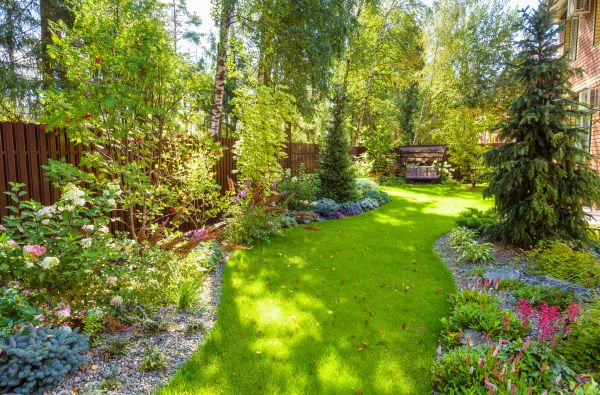 Spring Yard Maintenance in Albany