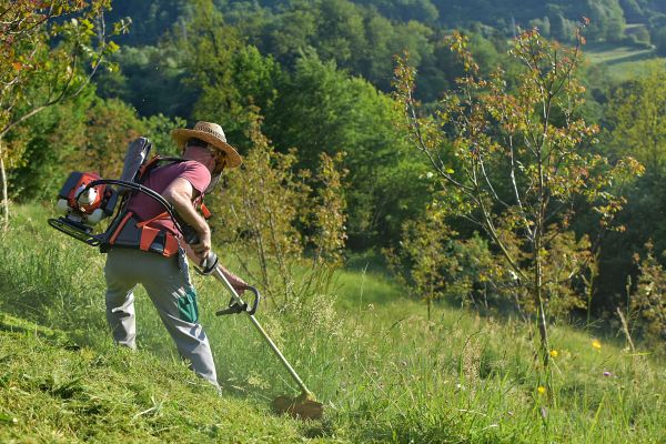Slope Mowing in Albany