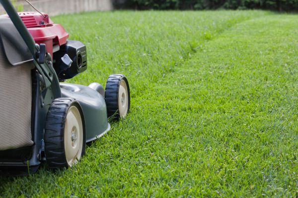 Spring Lawn Maintenance in Albany