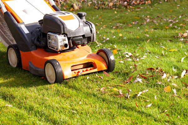 Cost of Fall Mowing in Albany