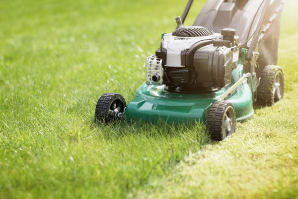Spring Grass Trimming in Albany