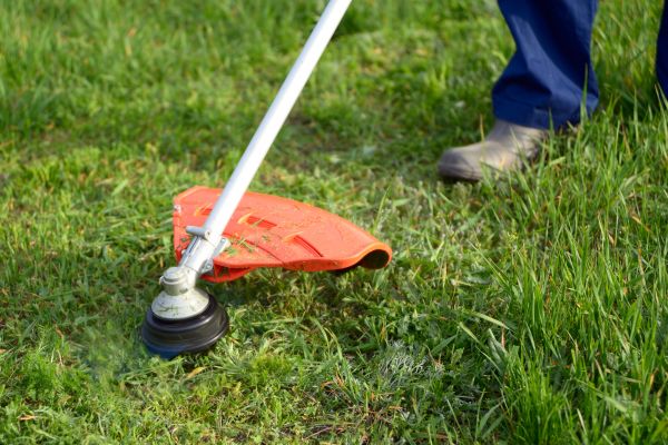 Lawn Weed Whacking in Albany