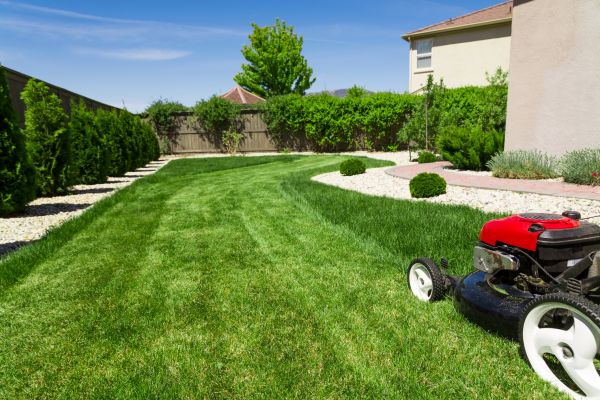 Residential Lawn Mowing in Albany